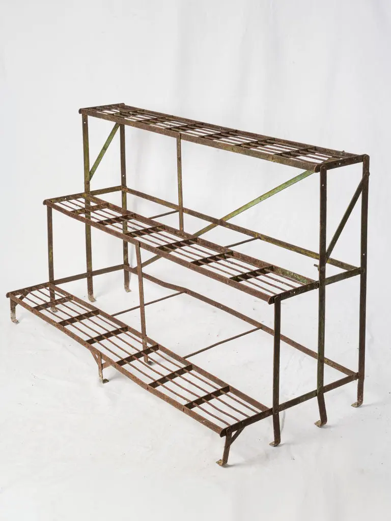 Antique French Wrought Iron Three-Tier Plant Stand, Belle Époque Era – 30" × 47.75" 1
