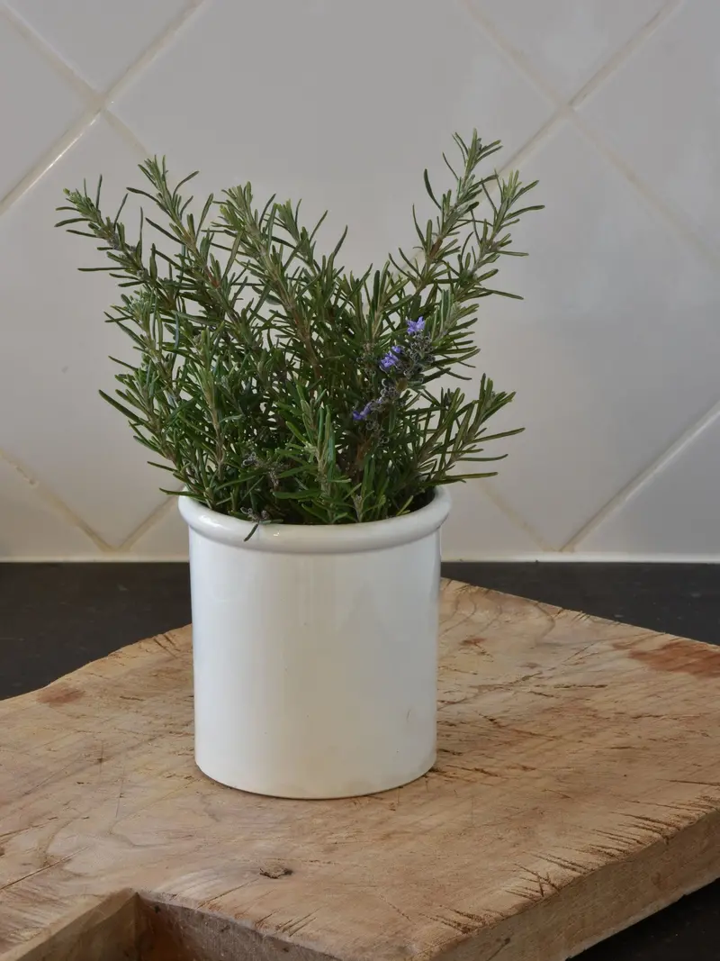 Second Of Two 4-Inch Ironstone Preserving Jars – Late 19Th Century 1